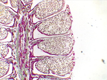 repository_1493-Thumbnail Image.jpg