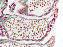 repository_1494-Thumbnail Image.jpg