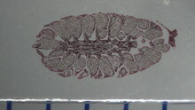 repository_1495-Thumbnail Image.jpg