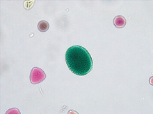 repository_1497-Thumbnail Image.jpg
