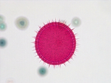 repository_1499-Thumbnail Image.jpg