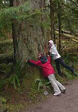 repository_150-Thumbnail Image.jpg