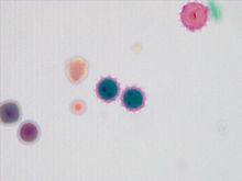 repository_1500-Thumbnail Image.jpg