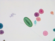 repository_1501-Thumbnail Image.jpg