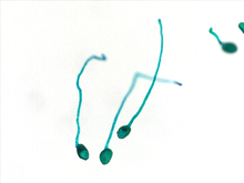 repository_1502-Thumbnail Image.jpg