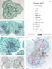 repository_1503-Thumbnail Image.png