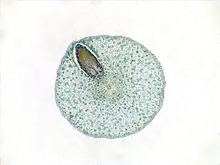 repository_1509-Thumbnail Image.jpg
