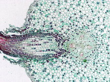 repository_1512-Thumbnail Image.jpg
