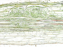 repository_1517-Thumbnail Image.jpg