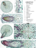 repository_1525-Thumbnail Image.png