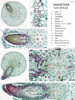 repository_1527-Thumbnail Image.png