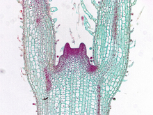 repository_1530-Thumbnail Image.jpg