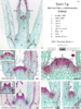 repository_1545-Thumbnail Image.png
