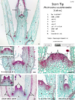 repository_1546-Thumbnail Image.png