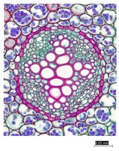 repository_1557-Thumbnail Image.jpg