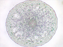repository_1558-Thumbnail Image.jpg