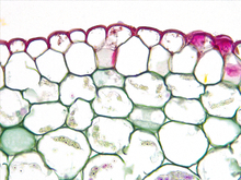 repository_1559-Thumbnail Image.jpg