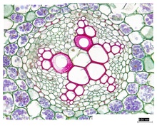 repository_1561-Thumbnail Image.jpg