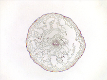 repository_1562-Thumbnail Image.jpg