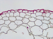 repository_1565-Thumbnail Image.jpg