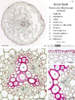 repository_1566-Thumbnail Image.png