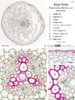 repository_1567-Thumbnail Image.png
