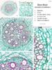 repository_1580-Thumbnail Image.png