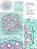 repository_1581-Thumbnail Image.png