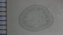 repository_1600-Thumbnail Image.jpg
