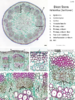 repository_1602-Thumbnail Image.png