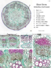 repository_1603-Thumbnail Image.png