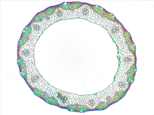 repository_1606-Thumbnail Image.jpg