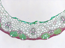 repository_1608-Thumbnail Image.jpg