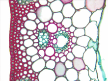 repository_1609-Thumbnail Image.jpg