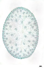 repository_1613-Thumbnail Image.jpg