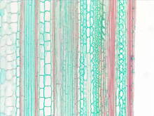 repository_1614-Thumbnail Image.jpg