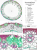 repository_1615-Thumbnail Image.png