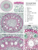 repository_1636-Thumbnail Image.png