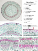 repository_1667-Thumbnail Image.png