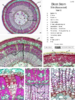 repository_1669-Thumbnail Image.png