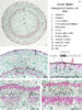 repository_1671-Thumbnail Image.png