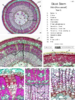 repository_1672-Thumbnail Image.png