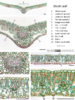 repository_1694-Thumbnail Image.png