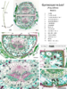 repository_1695-Thumbnail Image.png
