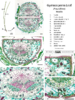 repository_1698-Thumbnail Image.png
