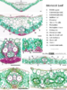 repository_1700-Thumbnail Image.png