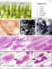 repository_1738-Thumbnail Image.png