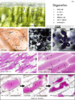 repository_1739-Thumbnail Image.png