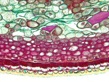 repository_1791-Thumbnail Image.jpg