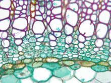 repository_1795-Thumbnail Image.jpg